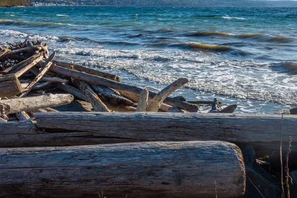 Driftwood Seascape 3 — Stok Foto