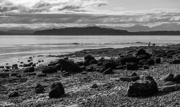 Paysage à marée basse — Photo