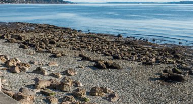 kayalık deniz dibinin