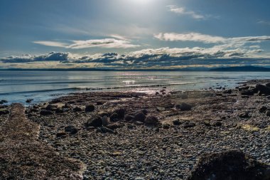 Düşük Tide manzara 2