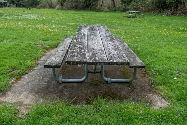 春天的野餐桌 — 图库照片