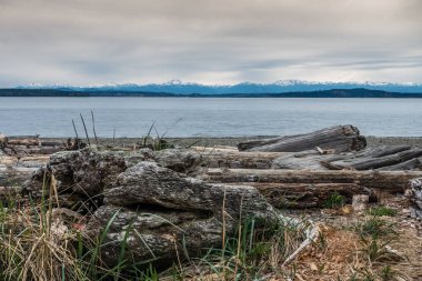 Northweest Dağ Manzara 6