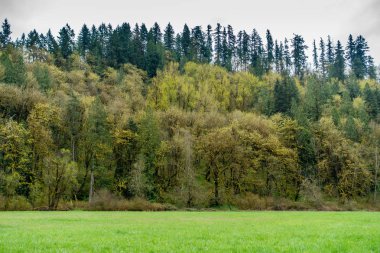 State Park İlkbahar 3