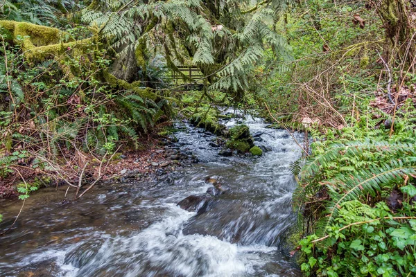 Stream Wiith ponte 2 — Foto Stock