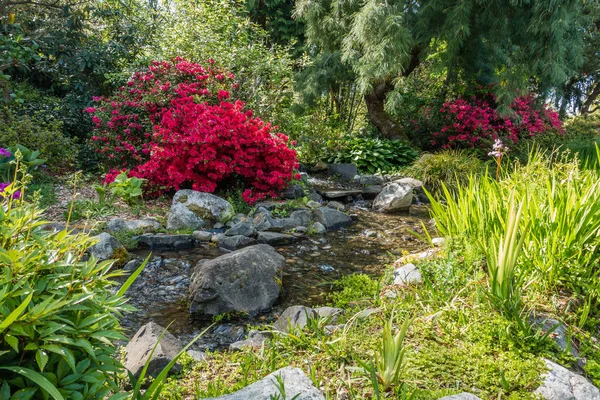 Creek ve Bahçe peyzaj 4 — Stok fotoğraf