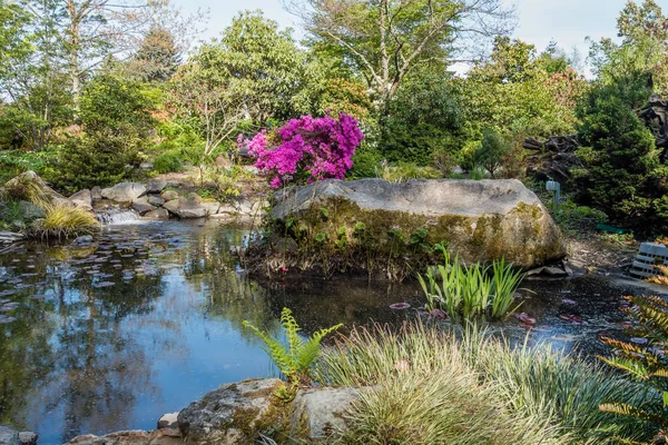 Rock Peyzaj ve havuz