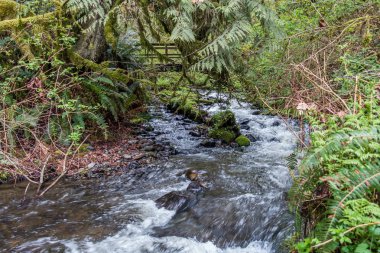 Akış Wiith Köprüsü