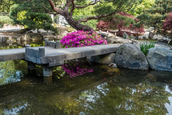 Japonês Jardim Lagoa 3 — Fotografia de Stock