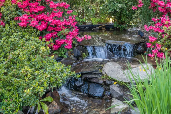 Azaleas ve akış 5