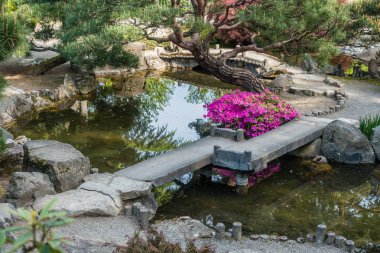 Japon bahçe gölet
