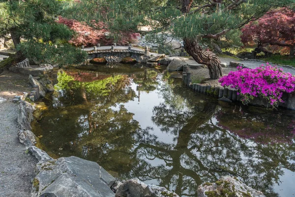Japonês Garden Pond 5 — Fotografia de Stock