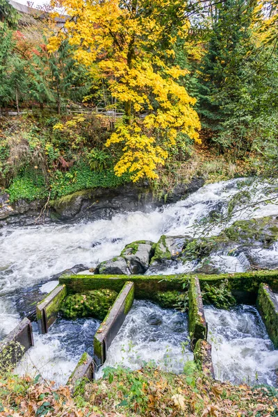 Tumwater Falls Park Visladder 5 — Stockfoto