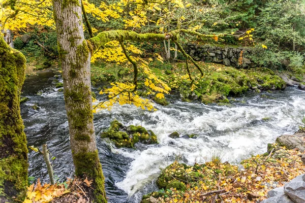 Tumwater Falls Park River — Foto Stock