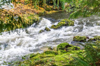 Tumwater Şelalesi Akıntısı 9