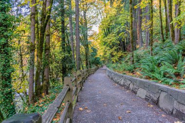 Tumwater Şelalesi Park Yolu 9