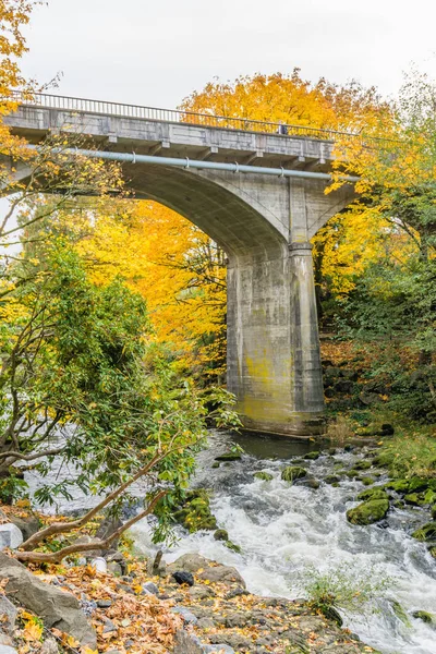 Tumwater Falls Park Bridge 6 — Foto Stock