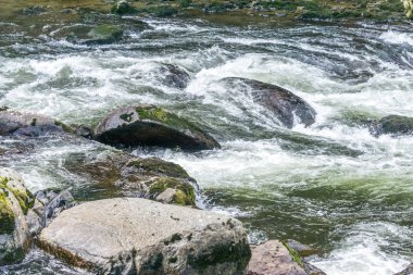 Snoqualmie Nehri Beyazsu Akıntısı 5