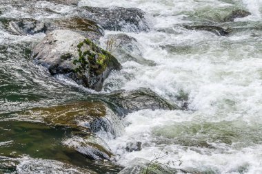 Snoqualmie Nehri Beyazsu Akıntısı 3