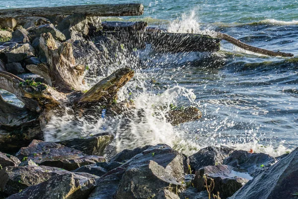 Puget Sound Shorebreak 4 — Stockfoto