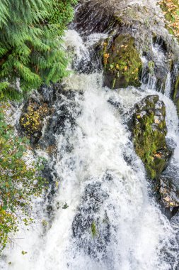 Tumwater Şelalesi Parkı