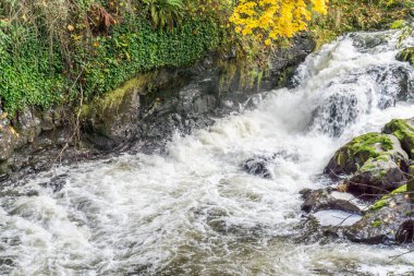 Tumwater Şelalesi Akıntısı 7