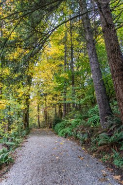 Tumwater Şelalesi Parkı Yolu 7