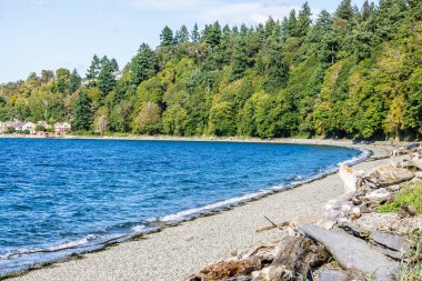 Lincoln Park Deniz Kenarı 3