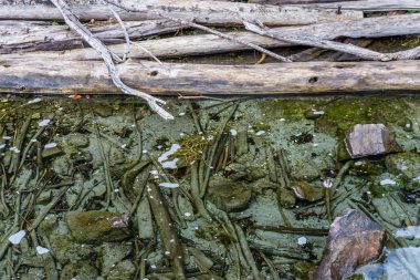 Altında ve Üzerinde Sürüklenen Dalgalar