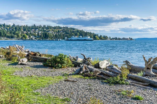Batı Seattle Feribot Terminali Sahne 4