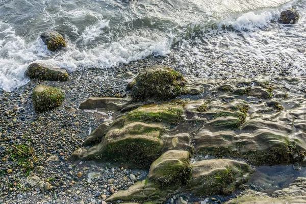 Puget Sound Rocky Shoreline 2 — Zdjęcie stockowe