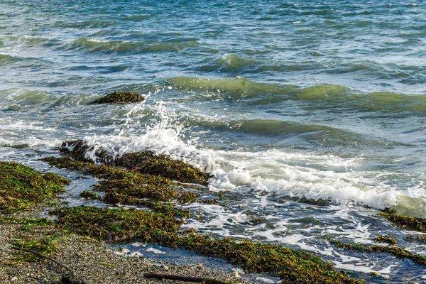 Wellen und Küstenlinie 3 — Stockfoto