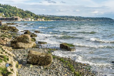 Dalgalar ve Kıyı Çizgisi 4