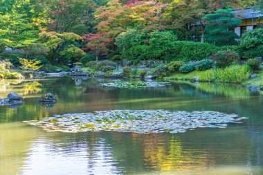 Seattle Bahçesi 5. Sonbaharda