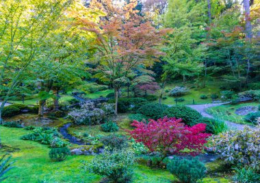 Sonbahar Bahçesi ve Nehir 2