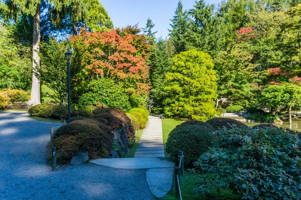 Seattle Garden No Outono 3 — Fotografia de Stock