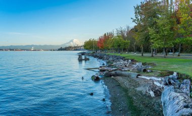 Tepe ve Ruston Sahil Hattı 8