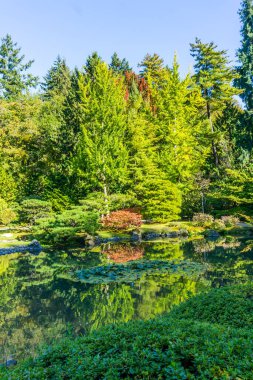 Seattle Bahçe 12 Sonbaharda