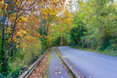 2. Sonbaharda Park Girişi