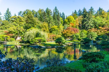 Seattle Bahçe 9 Sonbaharda