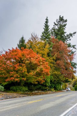 Ev ve Sonbahar Renkleri 3