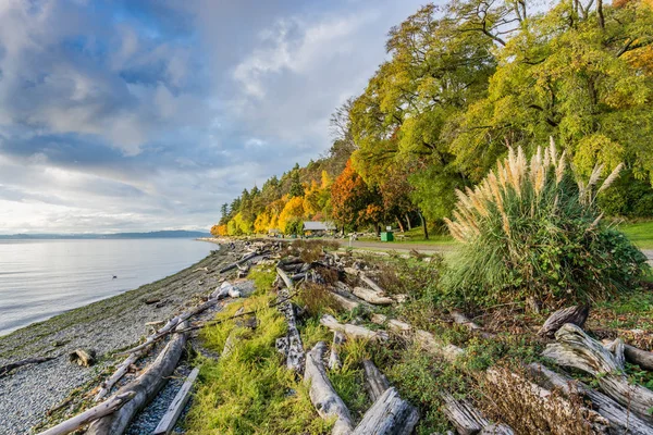 Lincoln Park Outono Shore — Fotografia de Stock