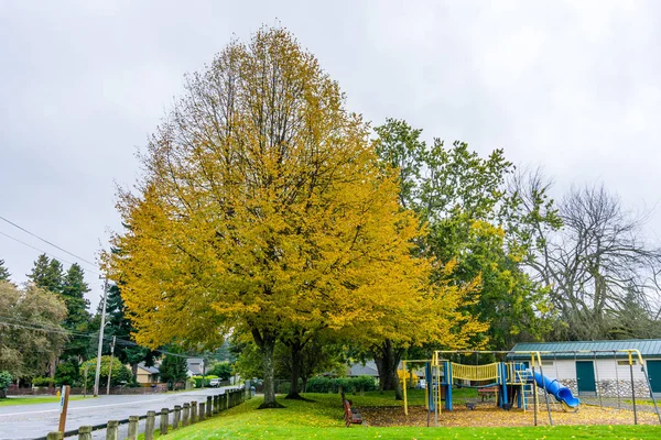 Burien Park in het najaar 7 — Stockfoto