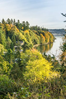 Kısaltma Çizgisi Sonbahar Renkleri 2