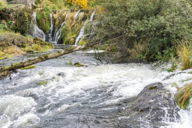 Tumwater 2 'de Şelale