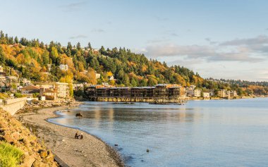 Kış Çizgisi Üzerindeki Sonbahar Renkleri
