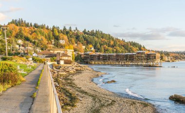Autumn Colors Over Shoreline 7