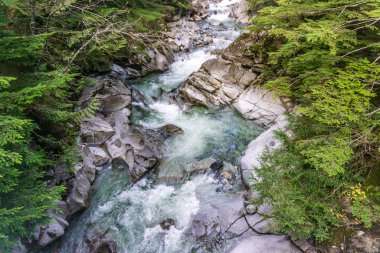 Creek With Clear Water 5