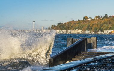 Güçlü Alki Dalgaları 6