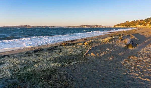 Windy Alki Beach — Stok fotoğraf