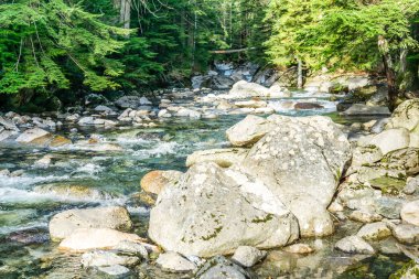 Rocky Creek 2 'yi temizle